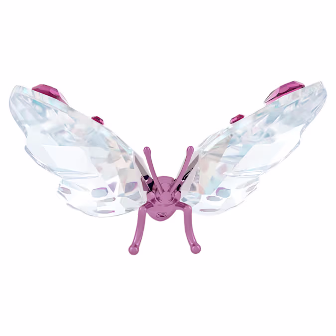 Idyllia Butterfly